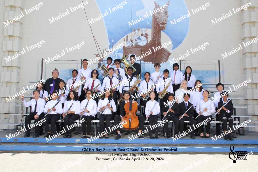 Musical Images